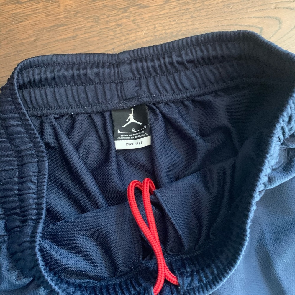 Beautiful Michael Jordan jumpman blue shorts Large - Picture 4 of 4